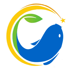 Fish for Life Coaching