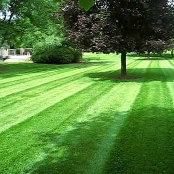 Burkhart Lawn Care - a green lawn - Landscaping Near Me - Clarksville, Tennessee Burkhart Lawn Care - a green lawn - Landscaping Near Me - Clarksville, Tennessee