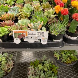 My favorite area!!! My favorite area!!!