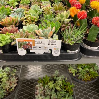 The Home Depot - My favorite area!!! - Hardware Stores Near Me - Victorville, California The Home Depot - My favorite area!!! - Hardware Stores Near Me - Victorville, California