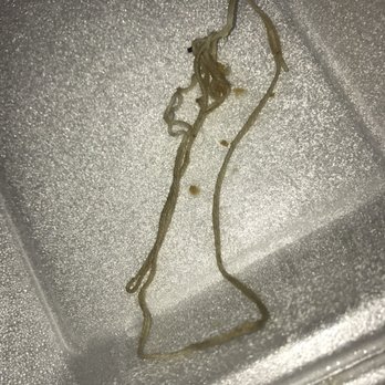 Pad Thai Restaurant - Gross right? - Thai Near Me - Escondido, California Pad Thai Restaurant - Gross right? - Thai Near Me - Escondido, California