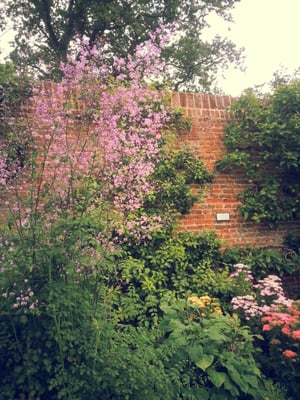 National Trust - Felbrigg Hall, Gardens & Estate by null