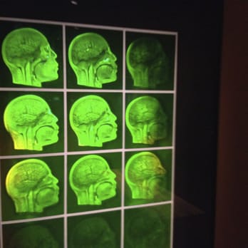 MIT Museum - your brain in hologram form - Art Museums Near Me - Cambridge, Massachusetts