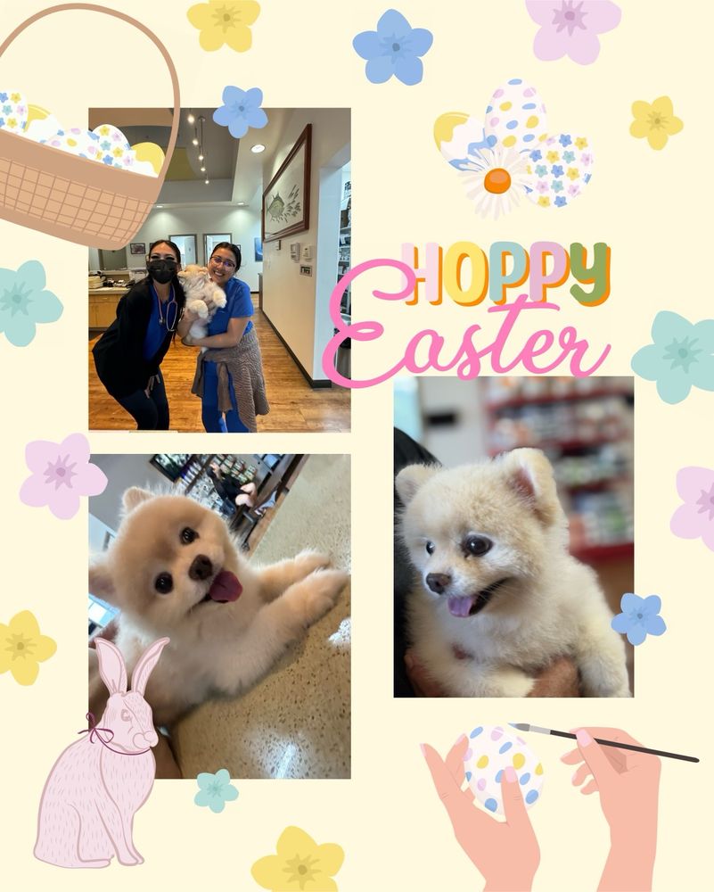 Waipahu Waikele Pet Hospital - pet boarding facility in Waipahu, HI