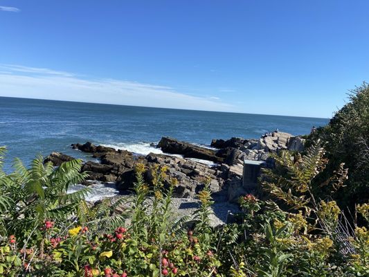 Cousins Maine Lobster Portland, ME by null