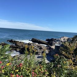 Cousins Maine Lobster - Portland, ME - Great view