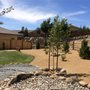 Oso Negro Landscaping