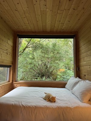 Postcard Cabins Skagit Valley, Outdoor Collection