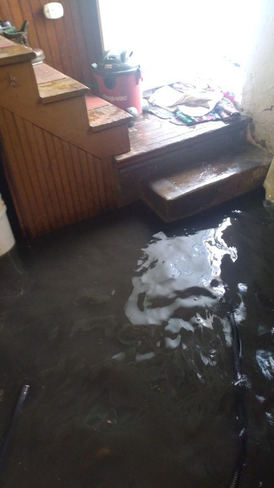 Slide of Rossi Rooter