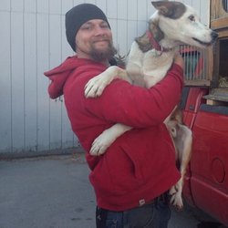 Heywood Kennels Sled Dog Adventures