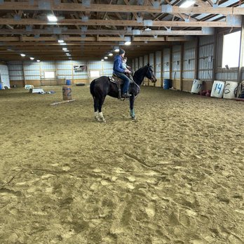 Wolcott Farms - Diana loves seeing them train - Horseback Riding Near Me - Warsaw, New York