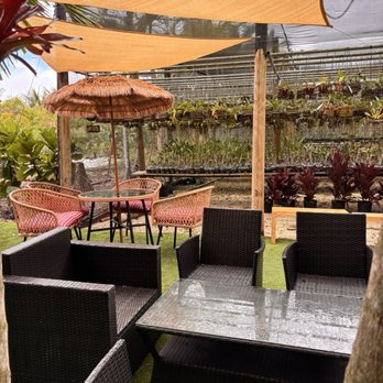 Ren Coffee Cart - Coffee & Tea Near Me - Davie, Florida Ren Coffee Cart - Coffee & Tea Near Me - Davie, Florida