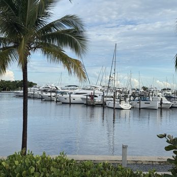 Regatta Grove - Cocktail Bars Near Me - Miami, Florida