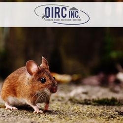 Oregon Insect & Rodent Control - Gresham - Rodent Control Services 24/7.
