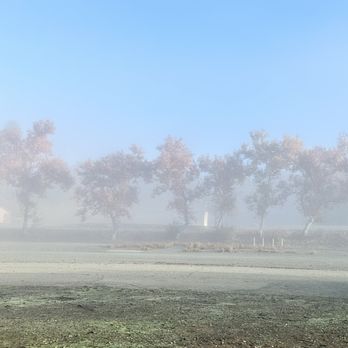 Steele Canyon Campground - Sun hitting the trees thru the fog. Winter camping. - Campgrounds Near Me - Napa, California Steele Canyon Campground - Sun hitting the trees thru the fog. Winter camping. - Campgrounds Near Me - Napa, California
