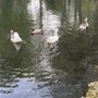 Photo of Parque Ferrera