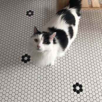 Andrew's Tile - undefined - Tiling Near Me