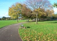 Llandaff Fields