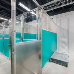 Pet Paradise Ocala