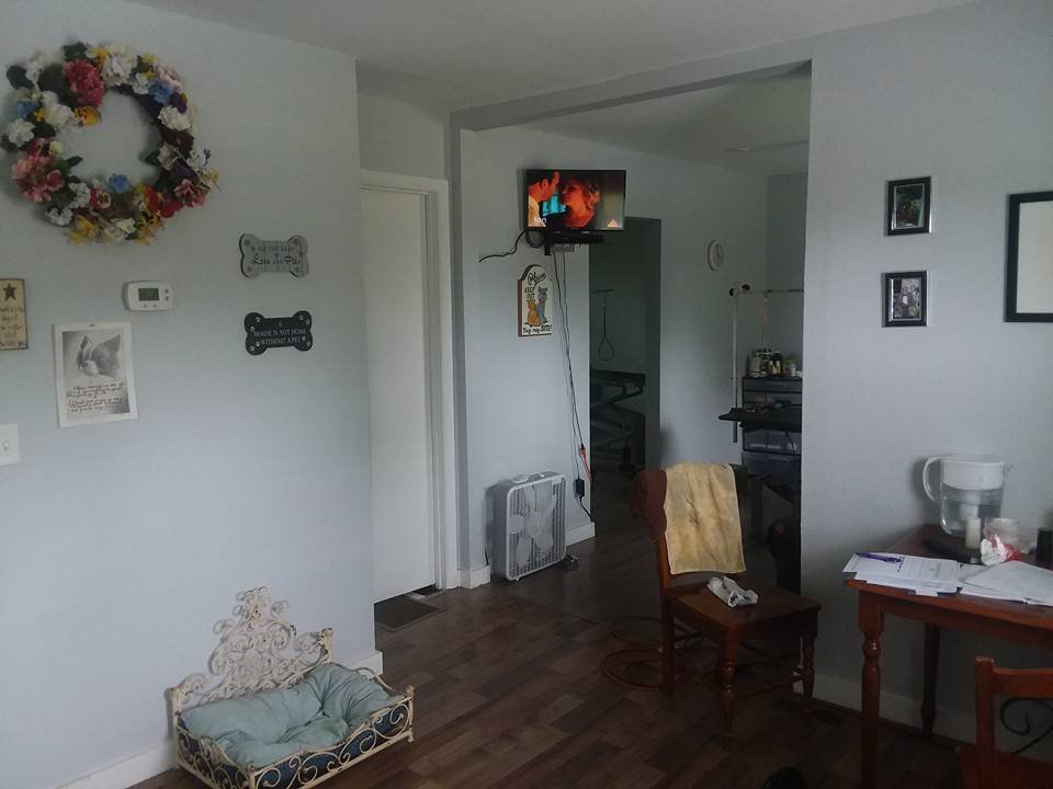 ALL AMERICAN DOG 908 New Hope Rd, Berkeley Springs, West Virginia