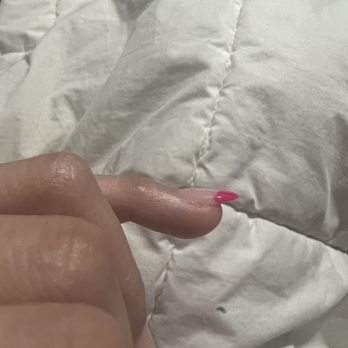 Elegant Nails - They were all straight but like pointing upward! The weirdest shape everrrr - Nail Salons Near Me - Kent, Washington Elegant Nails - They were all straight but like pointing upward! The weirdest shape everrrr - Nail Salons Near Me - Kent, Washington