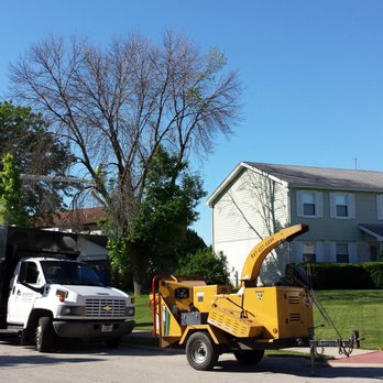 Ackerman Tree Specialists - Tree Services Near Me