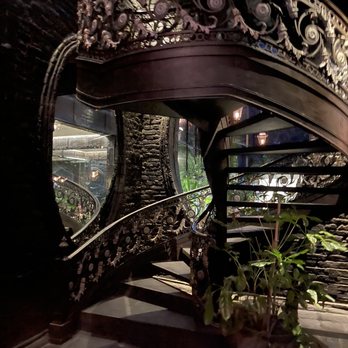 FÓNICO - Restaurants Near Me - México, D.F., DIF