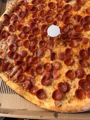 Knockout Pizza by null