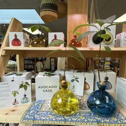 The Green Store - Avocado and acorn vases