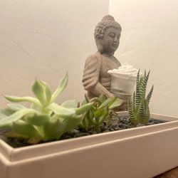 Reset and Thrive