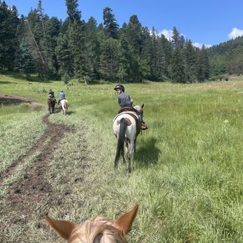 Roadrunner Tours - Entertaining Carson National Forrest. - Tours Near Me - Angel Fire, New Mexico