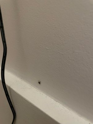 The Nevins Condominiums