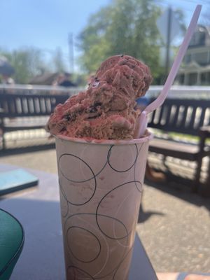 Nelson's Ice Cream by null