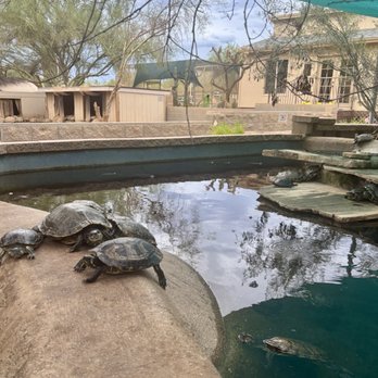 Phoenix Herpetological Society - Community Service/Non-Profit Near Me