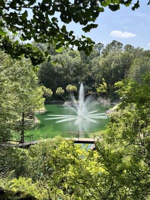 Cedar Lakes Woods and Gardens by null