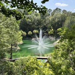 Cedar Lakes Woods and Gardens - Picturesque scenery
