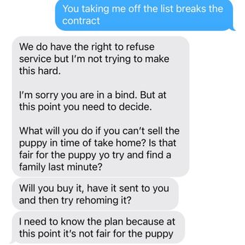 Utah Goldendoodles - Pet Breeders Near Me Utah Goldendoodles - Pet Breeders Near Me