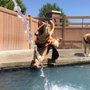 Photo of City Bark Parker