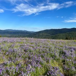 Dishman Hills Natural Area