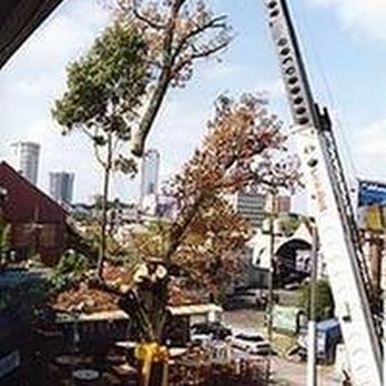 Odd Job the Tree Specialists - untitled - Tree Services Near Me - Canton, Georgia Odd Job the Tree Specialists - untitled - Tree Services Near Me - Canton, Georgia
