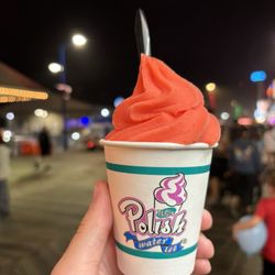TLC's Polish Water Ice - small cherry water ice