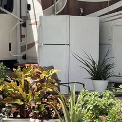 Boardwalk RV Resort - What fridge?