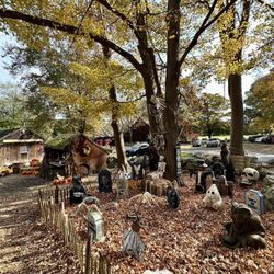Strawberry Hollow Farm - 10.13.2024
