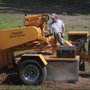 Photo of Tony's Stump Grinding