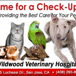good veterinary hospitals near me