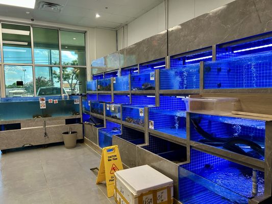 Tian Tian Golden Palace Seafood & Dim Sum Austin by null