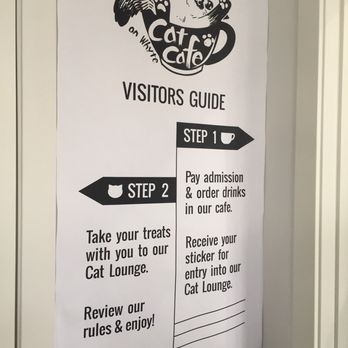 Cat Cafe on Whyte - Coffee & Tea Near Me - Edmonton, Alberta
