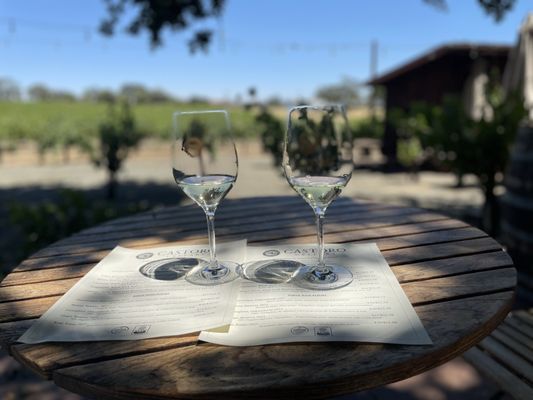 Castoro Cellars Vineyards & Winery by null