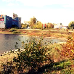 Staw Dąbski