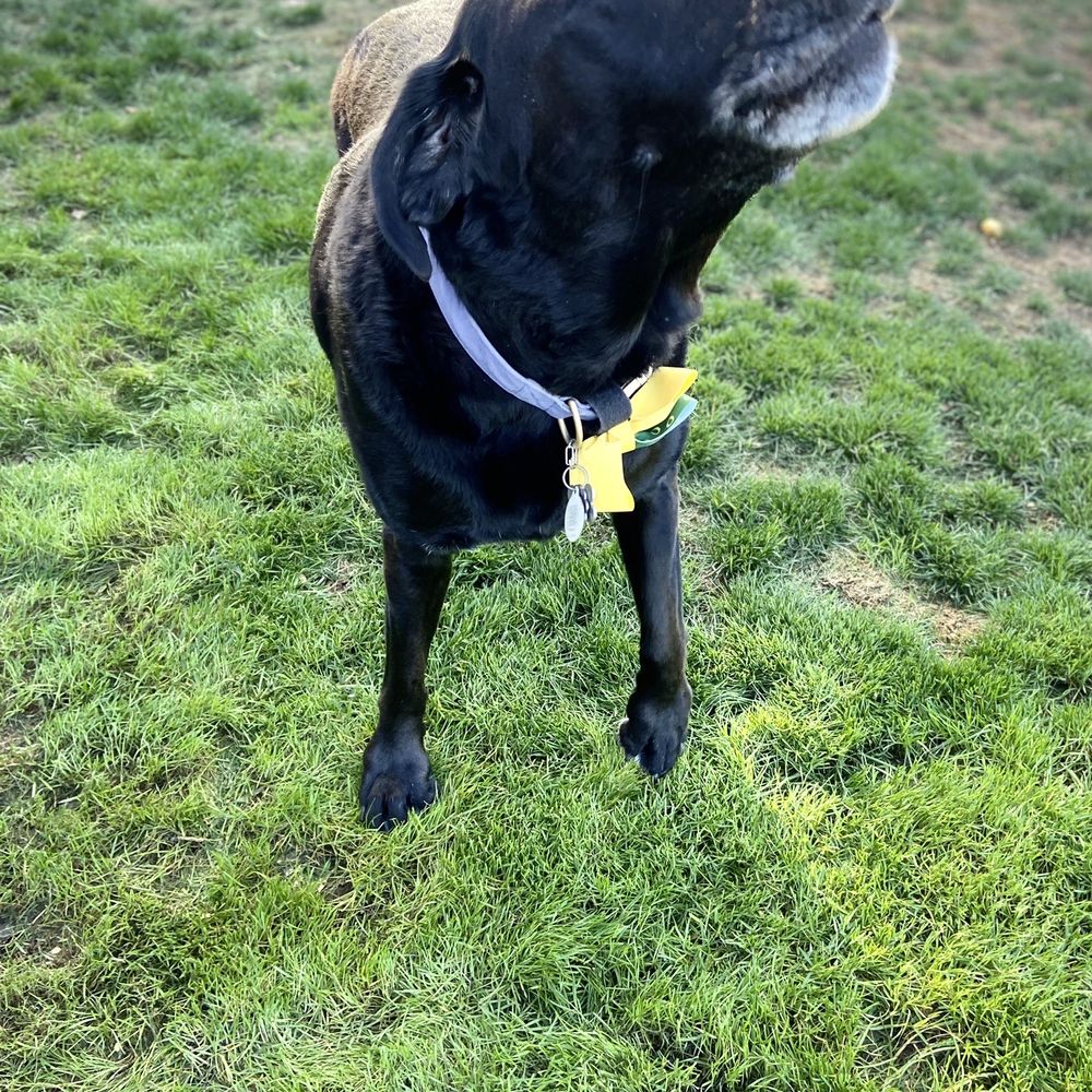 Our special boy! Our special boy!